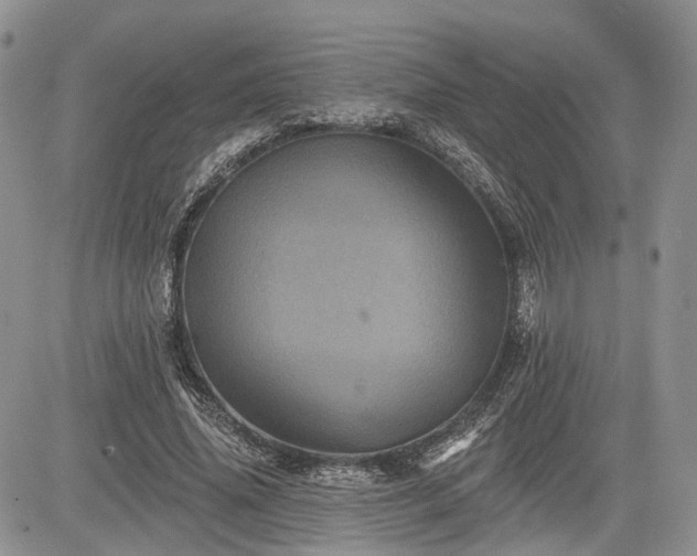 X0000085260636200703161405