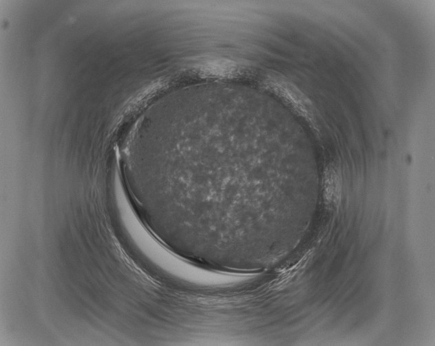 X0000085260637200703161405