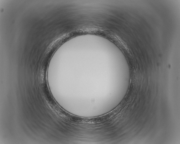 X0000085260640200703161405