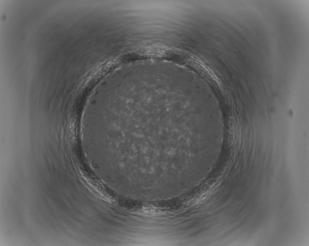 X0000085260641200703161405