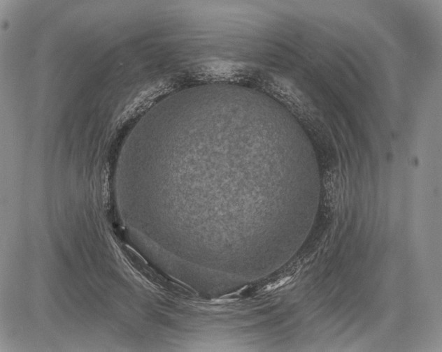 X0000085260642200703161405