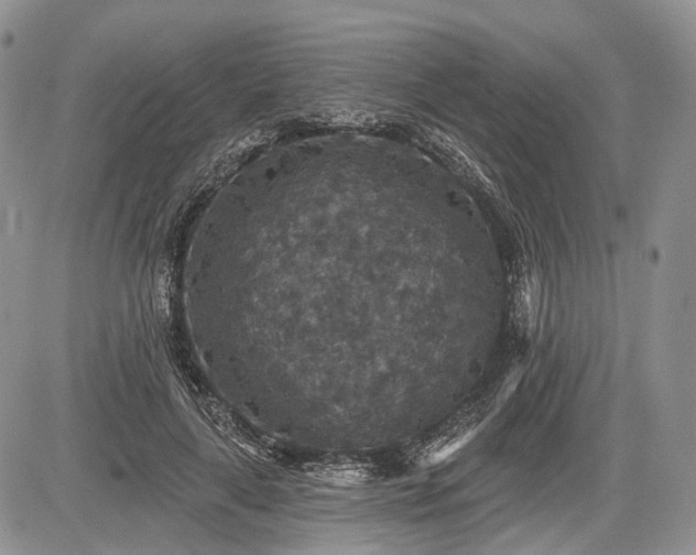 X0000085260643200703161405