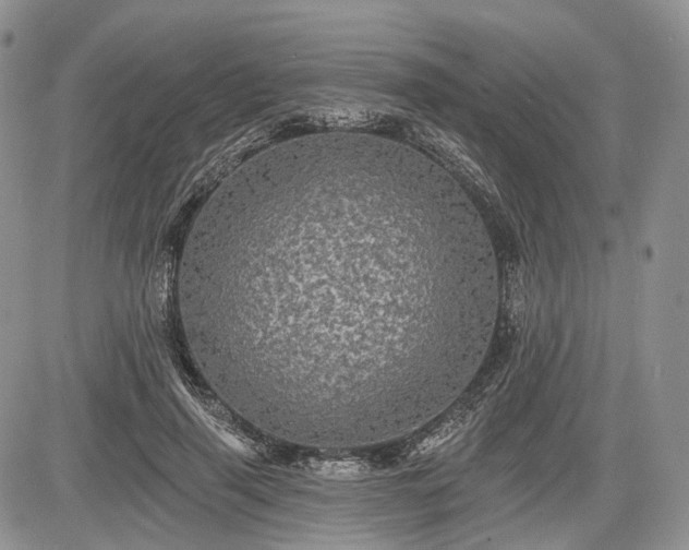 X0000085260645200703161405