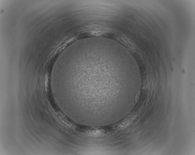 X0000085260646200703161405