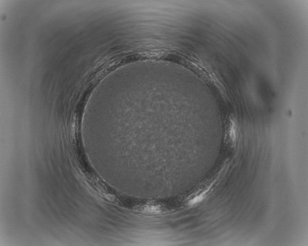 X0000085260647200703161405