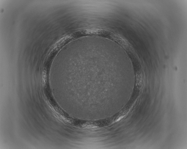 X0000085260648200703161405