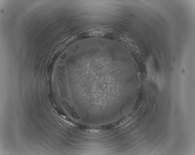 X0000085260649200703161405