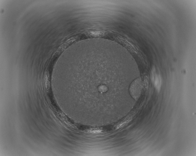 X0000085260651200703161405