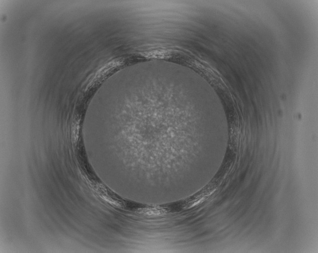 X0000085260652200703161405