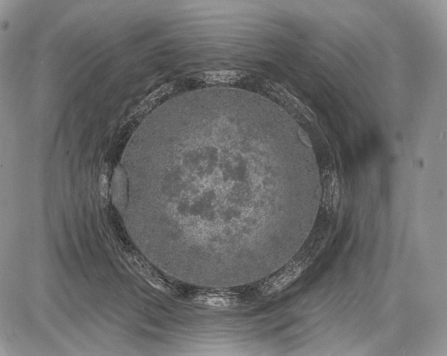 X0000085260655200703161405