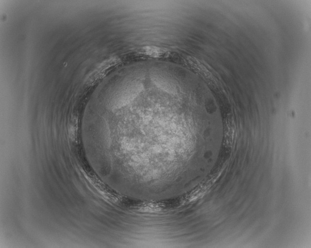 X0000085260656200703161405