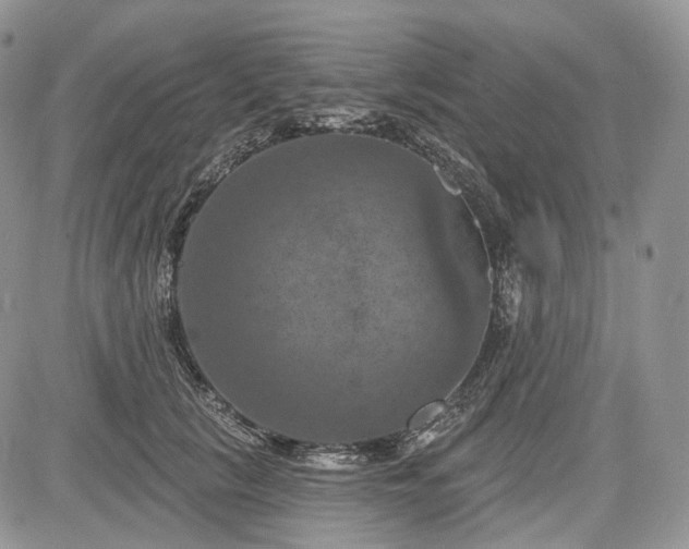 X0000085260657200703161405