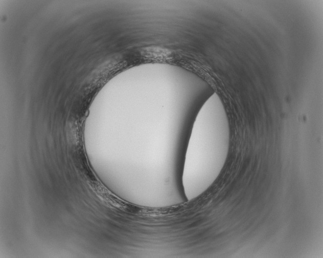 X0000085260658200703161405