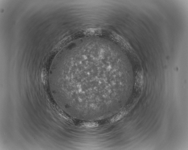 X0000085260659200703161405