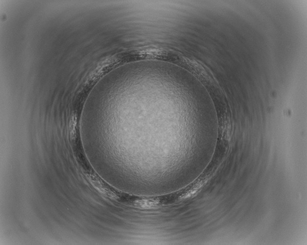 X0000085260660200703161405