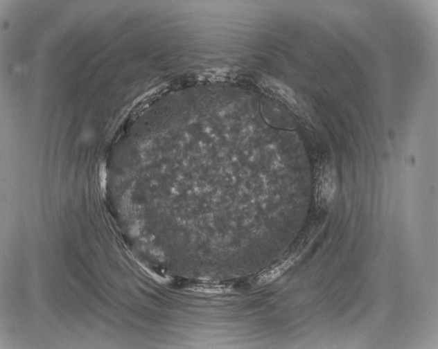 X0000085260661200703161405