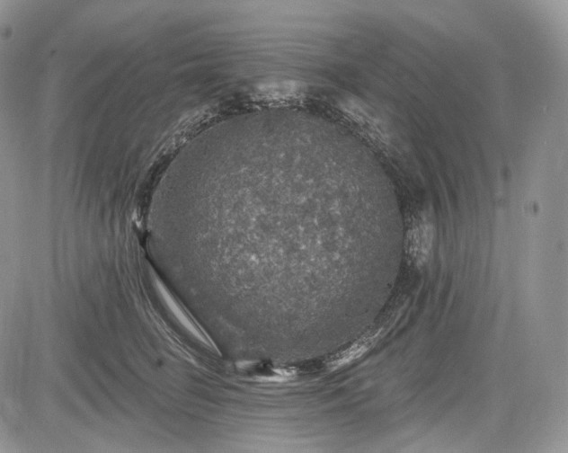 X0000085260662200703161405