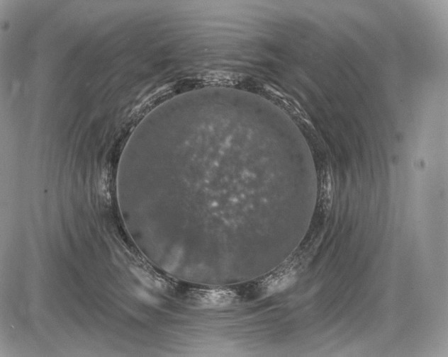 X0000085260663200703161405