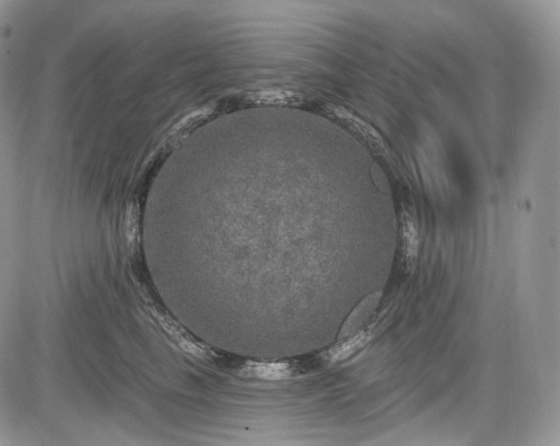 X0000085260665200703161405