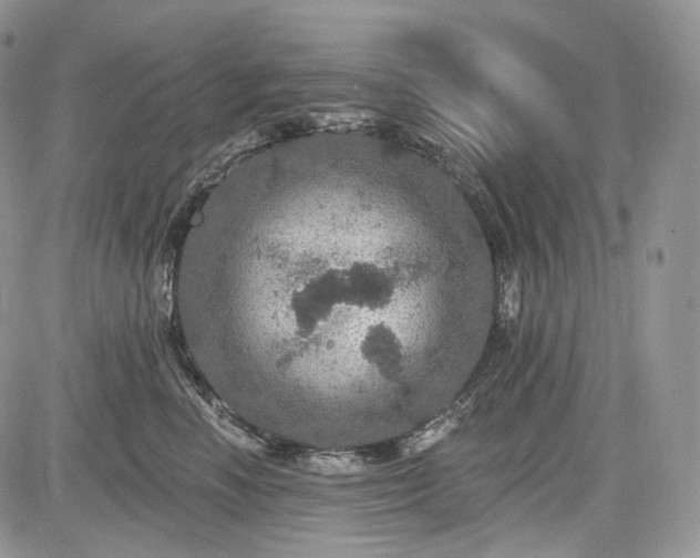 X0000085260666200703161405