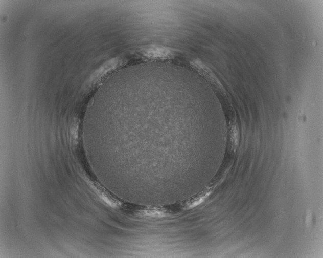 X0000085260668200703161405