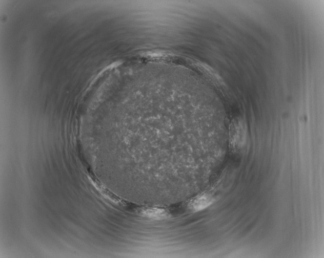 X0000085260669200703161405