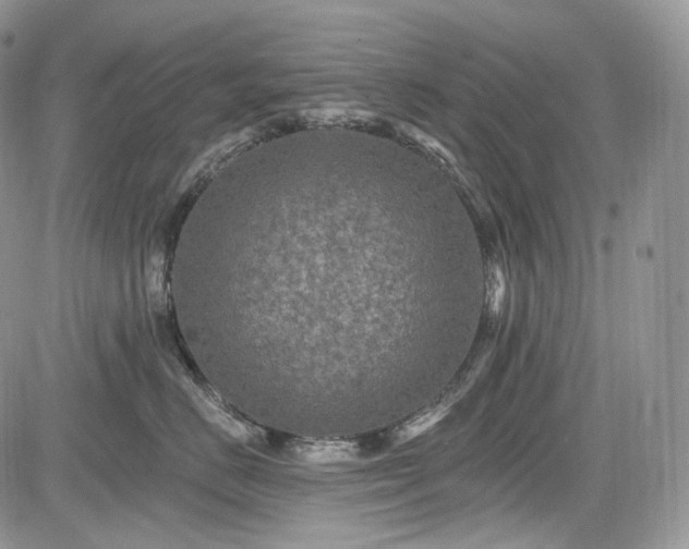 X0000085260670200703161405