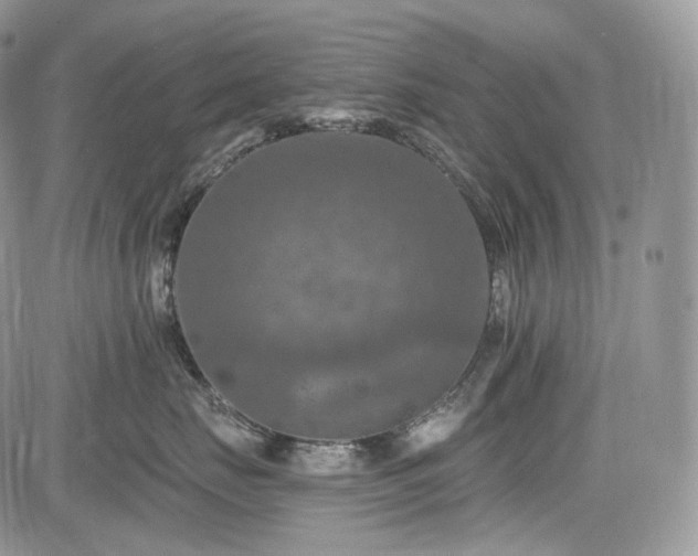 X0000085260671200703161405