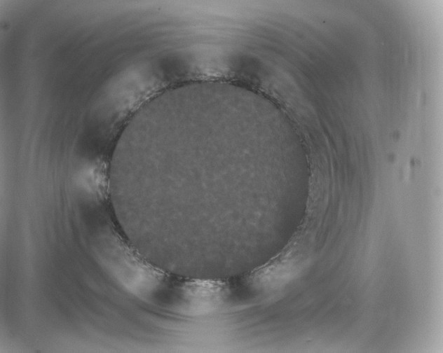 X0000085260672200703161405