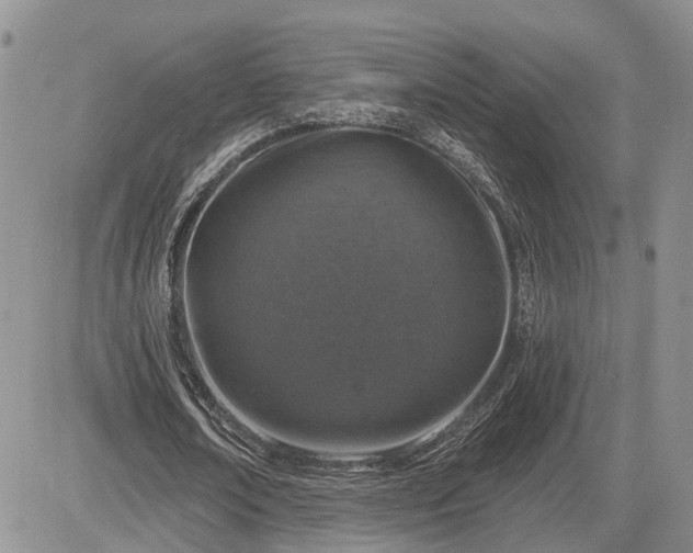 X0000085260674200703161405