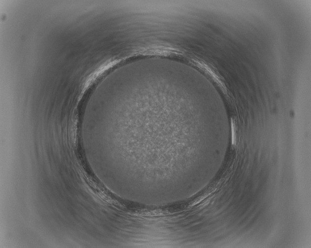 X0000085260675200703161405