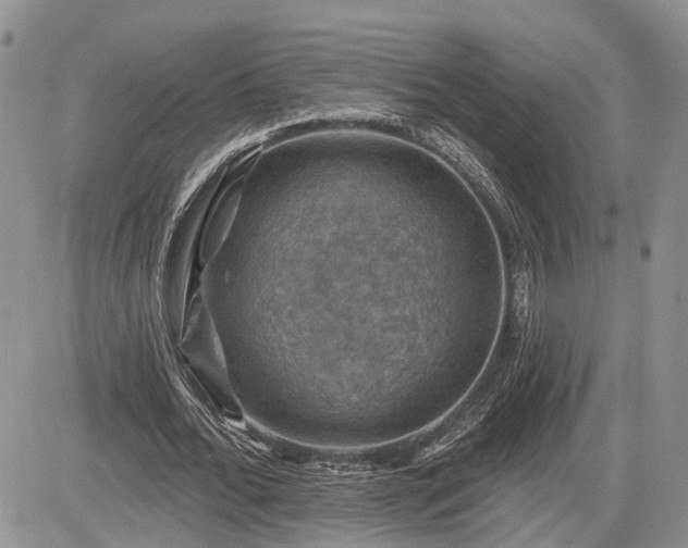 X0000085260676200703161405