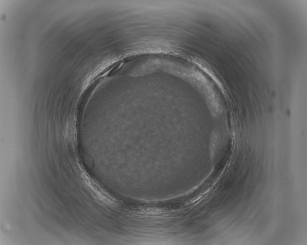 X0000085260677200703161405