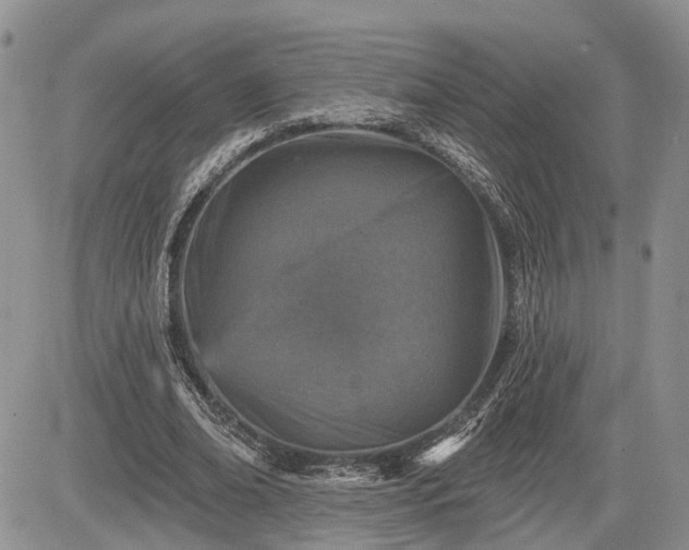 X0000085260678200703161404