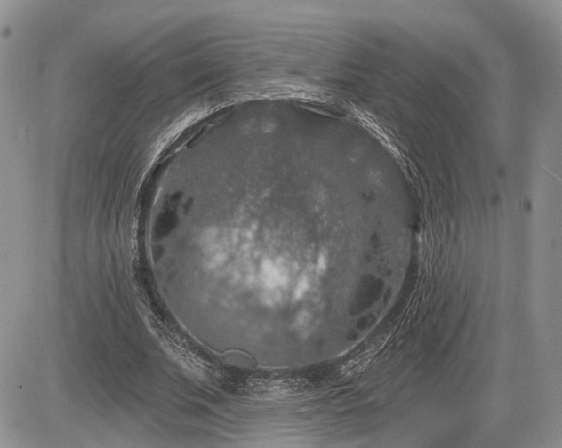 X0000085260679200703161404