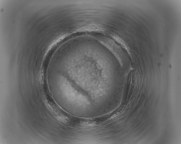 X0000085260680200703161404