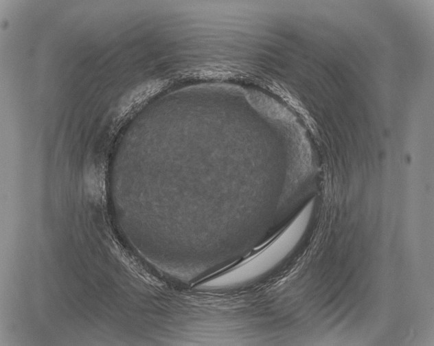 X0000085260681200703161404