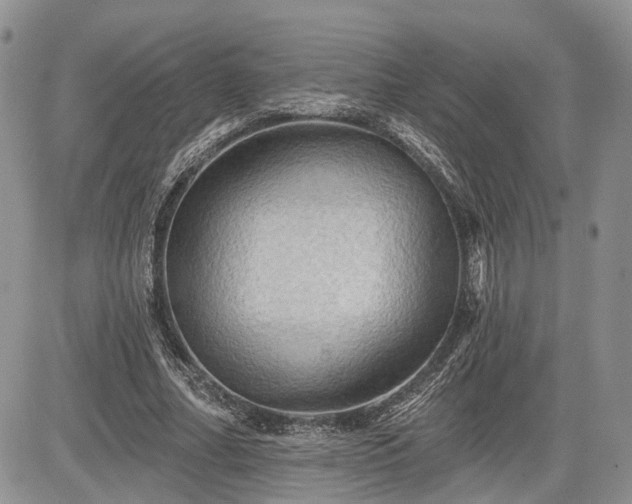 X0000085260682200703161404