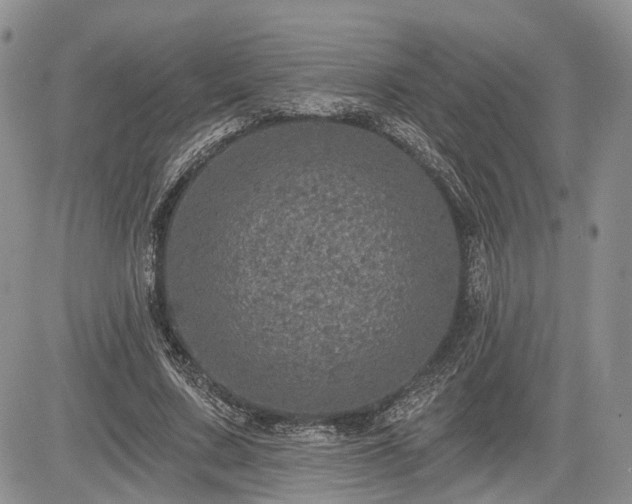 X0000085260683200703161404