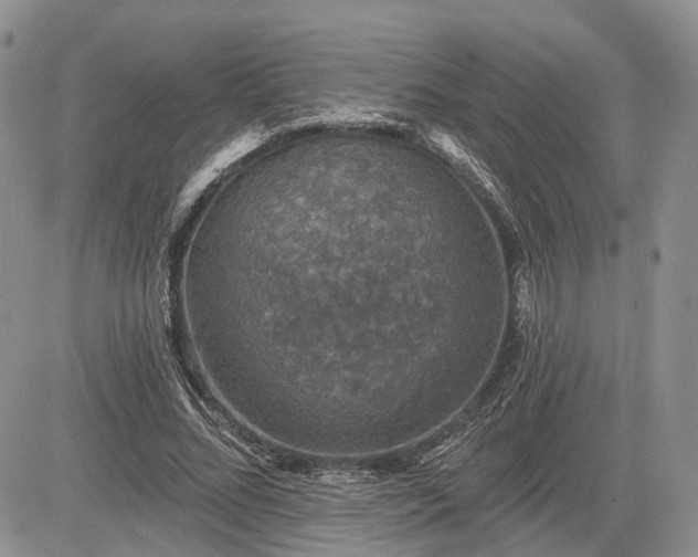 X0000085260684200703161404