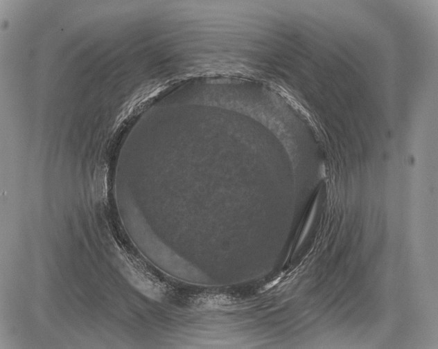 X0000085260685200703161404