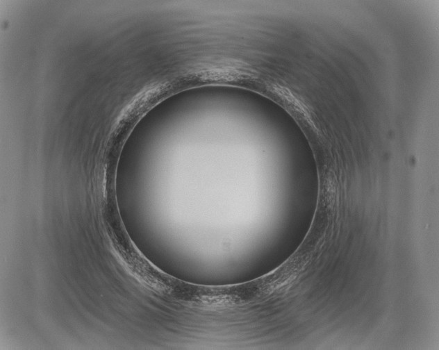 X0000085260686200703161404