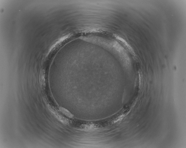 X0000085260688200703161404