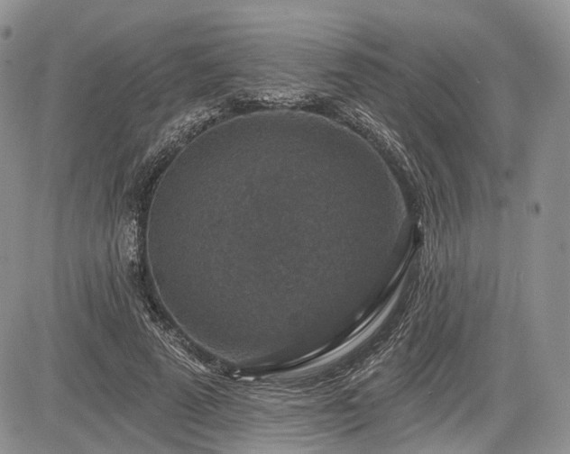 X0000085260689200703161404