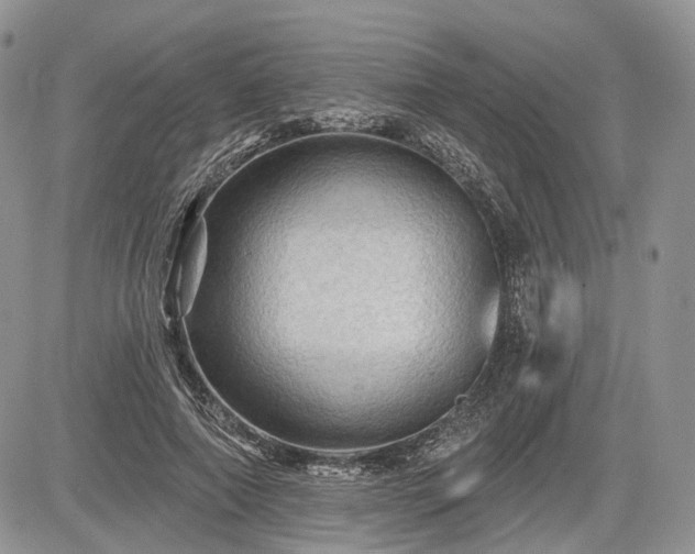 X0000085260690200703161404