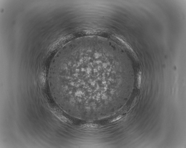 X0000085260691200703161404