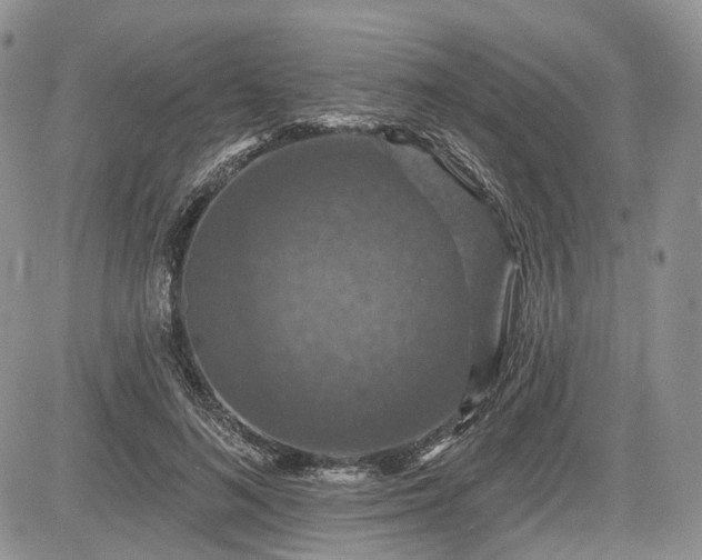 X0000085260692200703161404