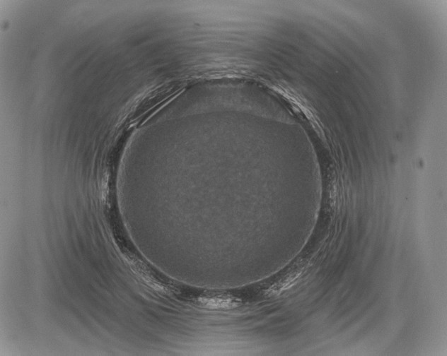 X0000085260693200703161404