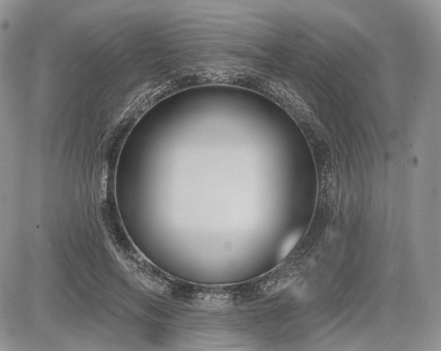 X0000085260694200703161404