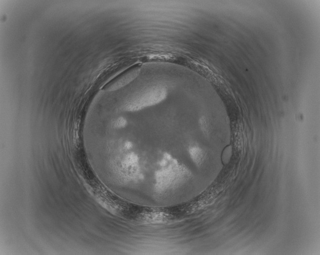 X0000085260695200703161404